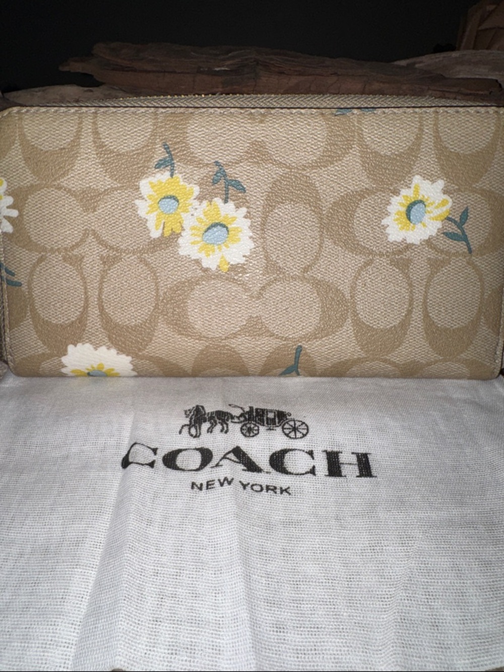 Coach Daisy Signature Zip Wallet - Beige, Yellow & White - Picture 2 of 6